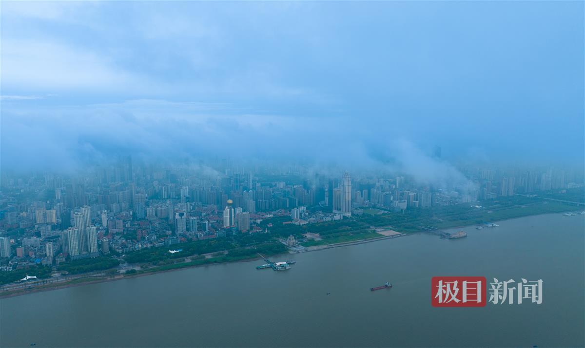 皇冠走地网